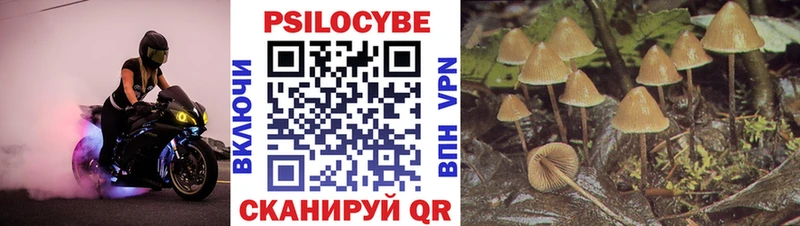Псилоцибиновые грибы прущие грибы  Клин 